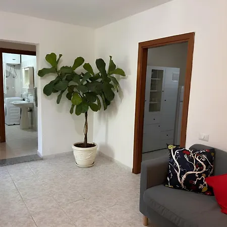 Casa Gioia -appartamento Con Veranda Vicino Marinella Διαμέρισμα Όλμπια